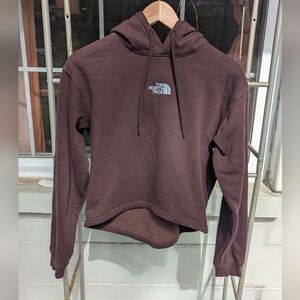 The North Face Logo Cropped Hoodie Size Small Brown